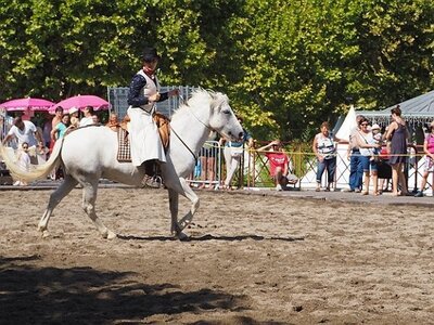 LA CAMARGUE A DIGNE, 0128