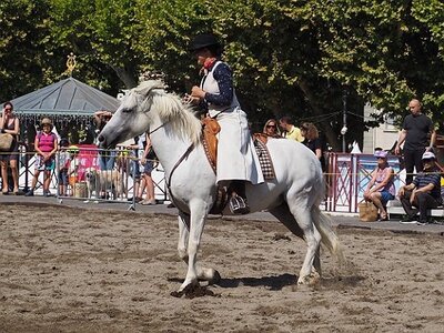 LA CAMARGUE A DIGNE, 0129