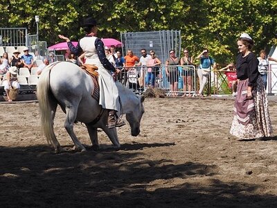 LA CAMARGUE A DIGNE, 0131