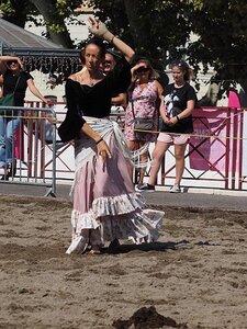 LA CAMARGUE A DIGNE, 0139