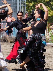 LA CAMARGUE A DIGNE, 0145
