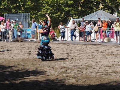 LA CAMARGUE A DIGNE, 0149
