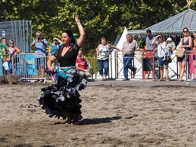 LA CAMARGUE A DIGNE, 0152