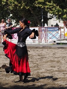 LA CAMARGUE A DIGNE, 0153