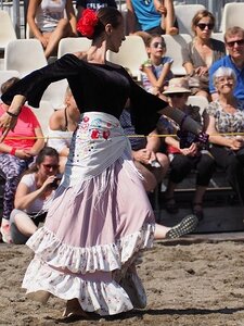 LA CAMARGUE A DIGNE, 0155