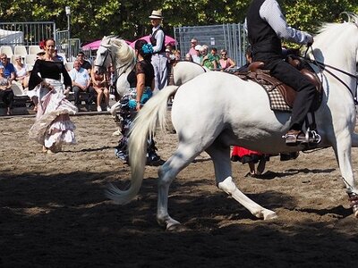 LA CAMARGUE A DIGNE, 0156