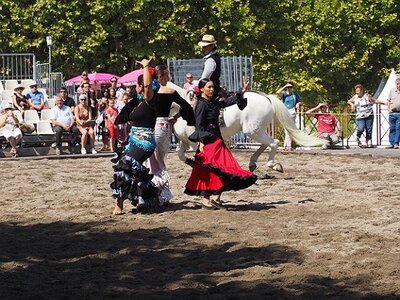 LA CAMARGUE A DIGNE, 0157