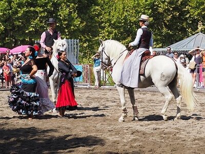 LA CAMARGUE A DIGNE, 0158