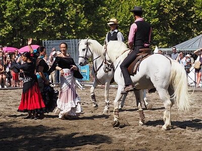 LA CAMARGUE A DIGNE, 0159