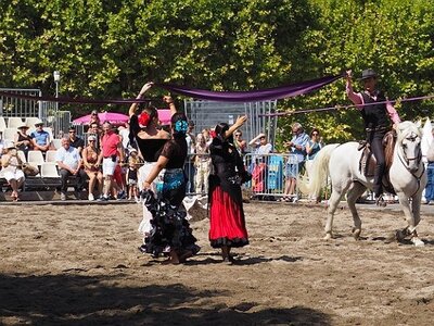 LA CAMARGUE A DIGNE, 0162