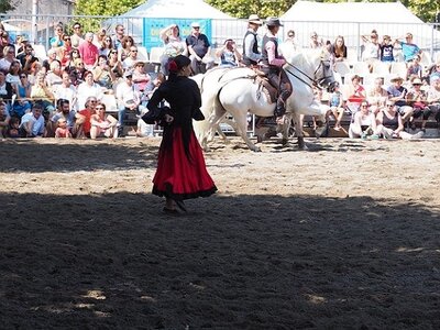 LA CAMARGUE A DIGNE, 0163
