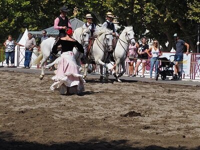 LA CAMARGUE A DIGNE, 0164