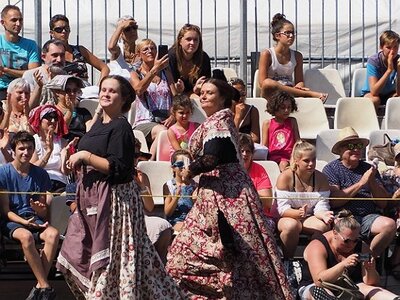 LA CAMARGUE A DIGNE, 0165