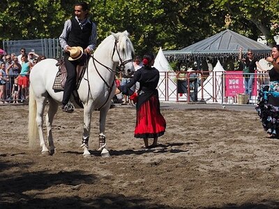 LA CAMARGUE A DIGNE, 0166