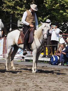LA CAMARGUE A DIGNE, 0168