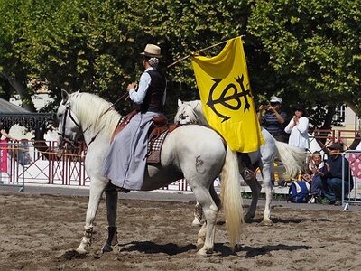 LA CAMARGUE A DIGNE, 0171