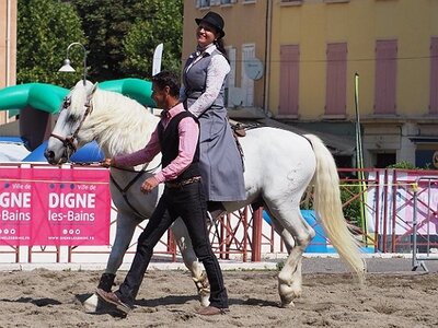 LA CAMARGUE A DIGNE, 0173