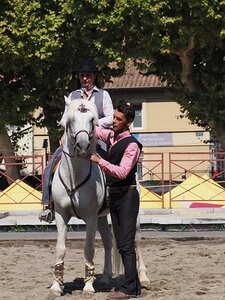 LA CAMARGUE A DIGNE, 0174