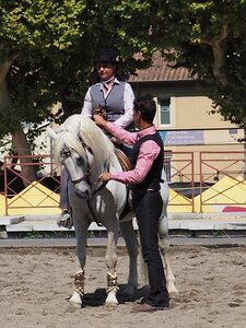 LA CAMARGUE A DIGNE, 0175