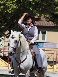 LA CAMARGUE A DIGNE, 0178
