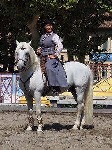 LA CAMARGUE A DIGNE, 0181