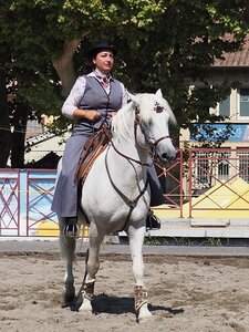 LA CAMARGUE A DIGNE, 0182
