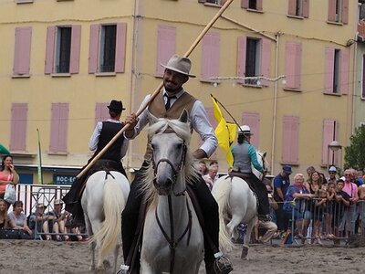 LA CAMARGUE A DIGNE, 0223