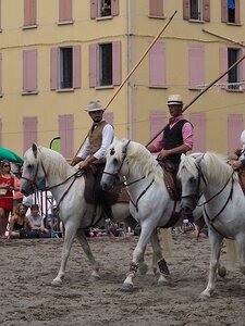 LA CAMARGUE A DIGNE, 0225
