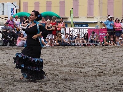 LA CAMARGUE A DIGNE, 0233
