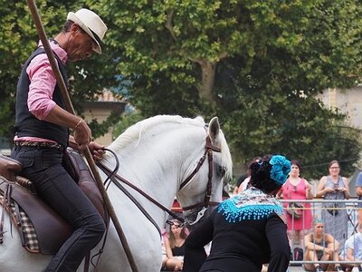 LA CAMARGUE A DIGNE, 0234