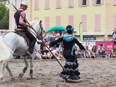 LA CAMARGUE A DIGNE, 0235