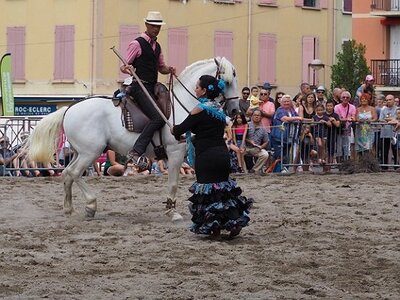 LA CAMARGUE A DIGNE, 0236