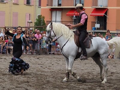 LA CAMARGUE A DIGNE, 0237