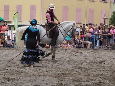 LA CAMARGUE A DIGNE, 0239