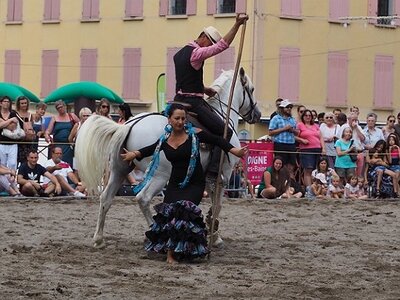 LA CAMARGUE A DIGNE, 0241