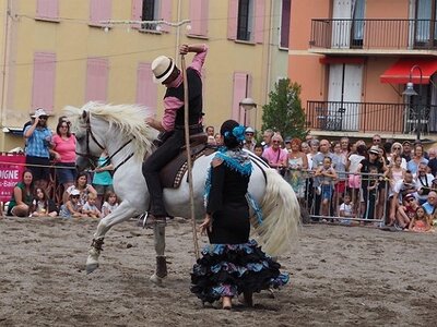LA CAMARGUE A DIGNE, 0244