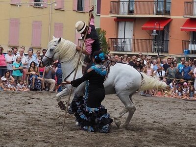 LA CAMARGUE A DIGNE, 0245
