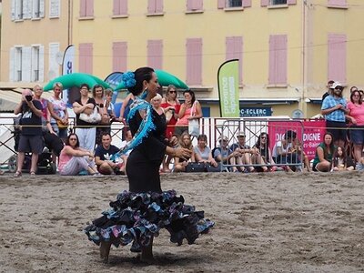 LA CAMARGUE A DIGNE, 0246