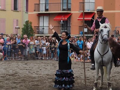 LA CAMARGUE A DIGNE, 0247