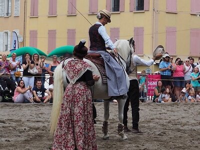 LA CAMARGUE A DIGNE, 0255