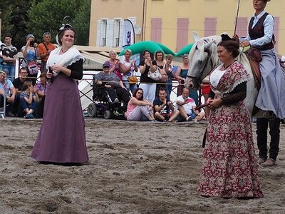 LA CAMARGUE A DIGNE, 0256
