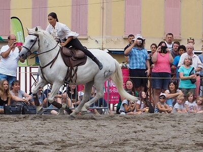 LA CAMARGUE A DIGNE, 0258