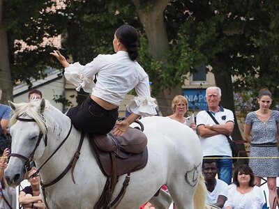 LA CAMARGUE A DIGNE, 0259