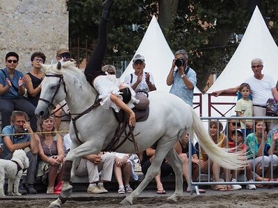 LA CAMARGUE A DIGNE, 0260