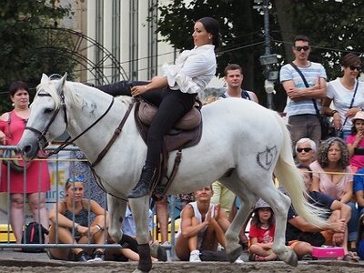 LA CAMARGUE A DIGNE, 0261