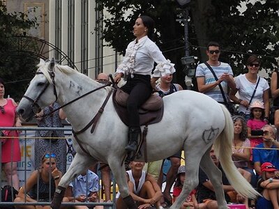 LA CAMARGUE A DIGNE, 0262