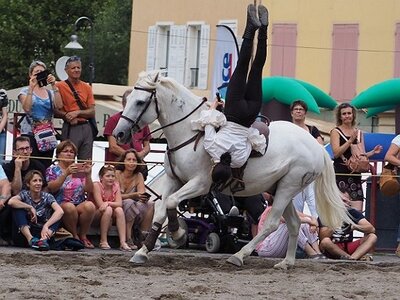 LA CAMARGUE A DIGNE, 0264