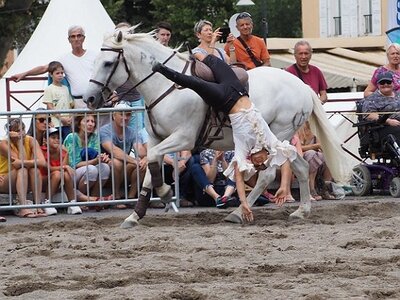 LA CAMARGUE A DIGNE, 0265