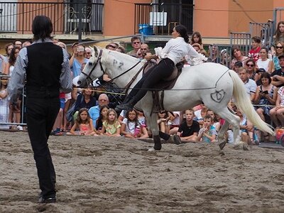 LA CAMARGUE A DIGNE, 0266