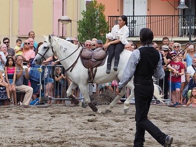 LA CAMARGUE A DIGNE, 0267